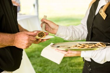 481. Fizető pincér - Chef de Rang - Svájci Alpok