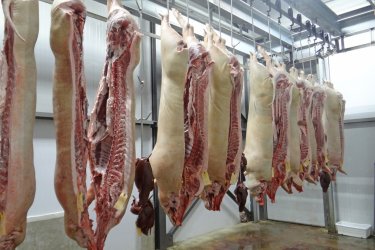 592. Húsipari késes német munka Hessen