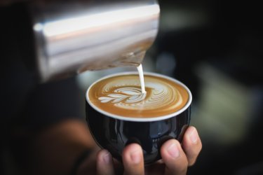 548/2. Barista olasz munka Süd-Tirol Olaszország