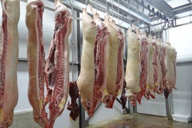 592. Húsipari késes német munka Hessen