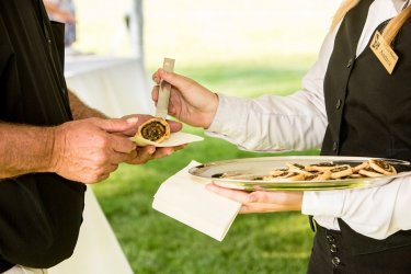 481. Fizető pincér - Chef de Rang - Svájci Alpok