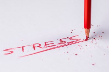 Ragtapasz a stresszre – Stressz snack tréning