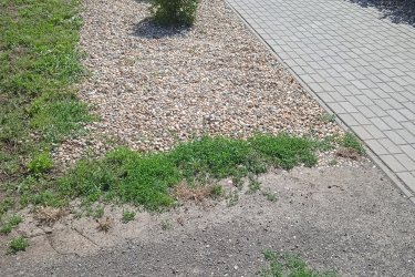 Udvaros