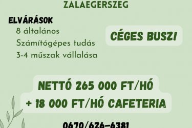 Betanított gyári munkás Zalaegerszeg