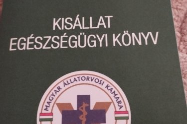 Fekete fehér kutyus