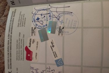 Eladó egy 2 éves kutyus családi okok miatt anya pitbull apja argentín dog kötelező oltásokat megkapta valamint chippel ellátva.
Játékos.Barátságos.Gyereket szerető jó idegzetű kutyus keresi gazdáját.