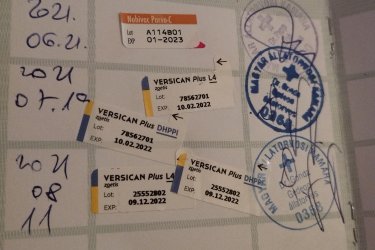 Eladó egy 2 éves kutyus családi okok miatt anya pitbull apja argentín dog kötelező oltásokat megkapta valamint chippel ellátva.
Játékos.Barátságos.Gyereket szerető jó idegzetű kutyus keresi gazdáját.