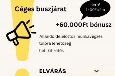 Csomagoló Sárvár!