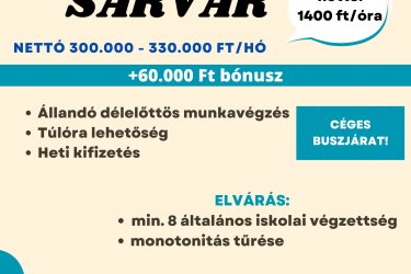 Vas megye - Csomagoló állás!