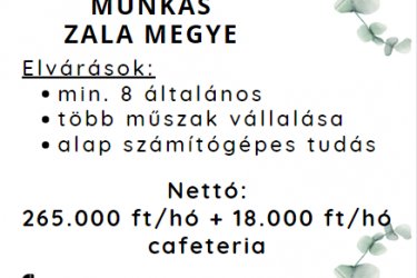 Zala megye - betanított gyári munkás