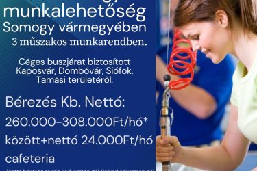 Betanított gyári munka lehetőség Somogy vármegyében!