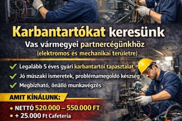 Elektromos és Mechanikus karbantartó