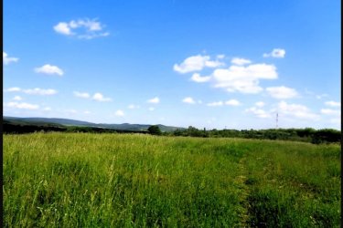 Vác Felső török hegyen 48.114 m2-es mezőgazdasági terület eladó!

Vácon 1 vagy másfél szobás lakást beszámítok az árba!!!

Eladásra kínálok Vácon a Felső török hegyen 48.114 m2-es mezőgazdasági területet.

A zártkerti mezőgazdasági terület MÁ, általános mezőgazdasági övezetbe tartozik, 3 helyrajzi számon 10. 686 m2 (szántó), 9.909 m2 (szántó) valamint 27.519 m2 (erdő) egymás mellett helyezkedik el, tehermentes, a földtörvény hatálya alá esik vagyis ki kell függeszteni.

1/ A 10.686 m2-es szántó szélessége: 50 méter és hosszúsága: 210 méter.
2/ A 9.909 m2-es szántó szélessége: 51 méter és hosszúsága: 191 méter.
3/ A 27.519 m2-es erdő szélessége: 170 méter és hosszúsága: 162 méter.

A mezőgazdasági területet Vác Felső Török hegyen található, kiváló elhelyezkedése miatt, egyéb más célú hasznosításra is alkalmas lehet, mint például ipari park, logisztikai park, esetleg lakópark létesítésére.
A telek, panorámás részen helyezkedik el, az M2 autóút könnyedén elérhető!
A földeket jelenleg művelik, de a mellette lévő területeket viszont már átminősítették lakóövezetté és ipari tevékenységre is.

A telek Mk építési övezetbe tartozik, ahol:

- a legnagyobb megengedett beépítettség 3%,
- a megengedett legnagyobb építménymagasság 3,5 m,
- a megengedett legkisebb építménymagasság 3 m,
- a legkisebb kialakítandó zöldfelület 90%
- a beépítés jellemző módja szabadon álló
- kialakítható legkisebb telekterület 1000 m2

Vác és Budapest is könnyedén elérhető, mind autóval, mind tömegközlekedéssel!

Vácon 1 vagy másfél szobás lakást beszámítok az árba!!!

Irányár: 42.000.000.-Ft

További információért és a megtekintéssel kapcsolatban, várom megtisztelő hívását!

Amiben még segíteni tudok:

- ha a vásárláshoz még el kell adnia ingatlanát
- energetikai tanúsítvány készítése 72 órán belül
- ingyenes hitelügyintézés
- jogi háttér
- földhivatali ügyintézés
- értékbecslés, piaci ármeghatározás
- költöztetés, lomtalanítás
- ajánlatok küldése e-mailben országos adatbázisból. 

Tel: +36705581160