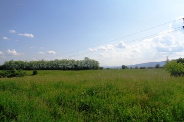 Eladó Vácon a Felső török hegyen 48.114 m2-es mezőgazdasági területet. A zártkerti mezőgazdasági terület MÁ, általános mezőgazdasági övezetbe tartozik, 3 helyrajzi számon 10. 686 m2 (szántó), 9.909 m2 (szántó) valamint 27.519 m2 (erdő) egymás mellett hely