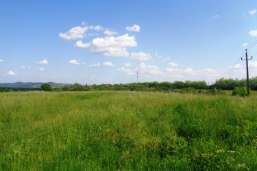 Vác Felső török hegyen 48.114 m2-es mezőgazdasági terület eladó!

Vácon 1 vagy másfél szobás lakást beszámítok az árba!!!

Eladásra kínálok Vácon a Felső török hegyen 48.114 m2-es mezőgazdasági területet.

A zártkerti mezőgazdasági terület MÁ, általános mezőgazdasági övezetbe tartozik, 3 helyrajzi számon 10. 686 m2 (szántó), 9.909 m2 (szántó) valamint 27.519 m2 (erdő) egymás mellett helyezkedik el, tehermentes, a földtörvény hatálya alá esik vagyis ki kell függeszteni.

1/ A 10.686 m2-es szántó szélessége: 50 méter és hosszúsága: 210 méter.
2/ A 9.909 m2-es szántó szélessége: 51 méter és hosszúsága: 191 méter.
3/ A 27.519 m2-es erdő szélessége: 170 méter és hosszúsága: 162 méter.

A mezőgazdasági területet Vác Felső Török hegyen található, kiváló elhelyezkedése miatt, egyéb más célú hasznosításra is alkalmas lehet, mint például ipari park, logisztikai park, esetleg lakópark létesítésére.
A telek, panorámás részen helyezkedik el, az M2 autóút könnyedén elérhető!
A földeket jelenleg művelik, de a mellette lévő területeket viszont már átminősítették lakóövezetté és ipari tevékenységre is.

A telek Mk építési övezetbe tartozik, ahol:

- a legnagyobb megengedett beépítettség 3%,
- a megengedett legnagyobb építménymagasság 3,5 m,
- a megengedett legkisebb építménymagasság 3 m,
- a legkisebb kialakítandó zöldfelület 90%
- a beépítés jellemző módja szabadon álló
- kialakítható legkisebb telekterület 1000 m2

Vác és Budapest is könnyedén elérhető, mind autóval, mind tömegközlekedéssel!

Vácon 1 vagy másfél szobás lakást beszámítok az árba!!!

Irányár: 42.000.000.-Ft

További információért és a megtekintéssel kapcsolatban, várom megtisztelő hívását!

Amiben még segíteni tudok:

- ha a vásárláshoz még el kell adnia ingatlanát
- energetikai tanúsítvány készítése 72 órán belül
- ingyenes hitelügyintézés
- jogi háttér
- földhivatali ügyintézés
- értékbecslés, piaci ármeghatározás
- költöztetés, lomtalanítás
- ajánlatok küldése e-mailben országos adatbázisból. 

Tel: +36705581160