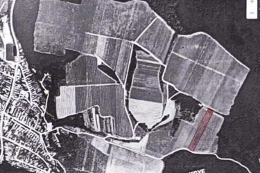 Eladó 11.700 m2-es szőlő ültetvény Szendehelyen.

Eladásra kínálok Szendehelyen a Naszály hegy (mészkő) lábánál található, “Új föld” szőlős területen lévő, 11. 700 m2-es Zweigelt fajtával beültetett szőlőterület.

A szőlő ültetvény  11. 700 m2 (25. 93 Arany Korona értékű) mezőgazdasági területen található.  

A mezőgazdasági terület szélessége 30 méter, hosszúsága 390 méter.
A szőlős folyamatosan művelve. 

A terület jellemzői: 

Szendehely, a Felső-Magyarország Borrégióhoz tartozik, ezen belül pedig a Mátrai borvidékhez.

A többi régióhoz képest itt hűvösebb a klíma, kevesebb a csapadék és változatos a talajadottság, ami a borok frissességét, gyümölcsös illatát eredményezi.

Ajánlom olyan személynek vagy kisebb vállalkozásnak, aki szőlőműveléssel szeretne foglalkozni.

REMEK LEHETŐSÉG!

Ár: 4. 000. 000.-Ft

További információért és a megtekintéssel kapcsolatban, várom megtisztelő hívását!

Amiben még segíteni tudok:

- ha a vásárláshoz még el kell adnia ingatlanát
- energetikai tanúsítvány készítése 72 órán belül
- ingyenes hitelügyintézés
- jogi háttér
- földhivatali ügyintézés
- értékbecslés, piaci ármeghatározás
- költöztetés, lomtalanítás
- ajánlatok küldése e-mailben országos adatbázisból.

Tel: +36705581160