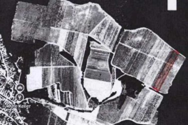 Eladó 17.600 m2-es szőlő ültetvény Szendehelyen.

Eladásra kínálok Szendehelyen a Naszály hegy (mészkő) lábánál található, “Öreg szőlő” területen lévő, 17. 600 m2-es Zweigelt fajtával beültetett szőlőterület.

A szőlő ültetvény két helyrajzi számon 5. 800 m2 (10. 13 Arany Korona értékű) valamint 11. 800 m2 (32. 64 Arany Korona értékű) egybefüggően található. 
Összesen: 17. 600 m2-en. 

A mezőgazdasági terület szélessége 52 méter, hosszúsága 338 méter.
A szőlős folyamatosan művelve. 

A terület jellemzői: 

Szendehely, a Felső-Magyarország Borrégióhoz tartozik, ezen belül pedig a Mátrai borvidékhez.
A többi régióhoz képest itt hűvösebb a klíma, kevesebb a csapadék és változatos a talajadottság, ami a borok frissességét, gyümölcsös illatát eredményezi.

Ajánlom olyan személynek vagy kisebb vállalkozásnak, aki szőlőműveléssel szeretne foglalkozni.

REMEK LEHETŐSÉG!

Ár: 5. 500. 000.-Ft

További információért és a megtekintéssel kapcsolatban, várom megtisztelő hívását!

Amiben még segíteni tudok:

- ha a vásárláshoz még el kell adnia ingatlanát
- energetikai tanúsítvány készítése 72 órán belül
- ingyenes hitelügyintézés
- jogi háttér
- földhivatali ügyintézés
- értékbecslés, piaci ármeghatározás
- költöztetés, lomtalanítás
- ajánlatok küldése e-mailben országos adatbázisból.

Tel: +36705581160
