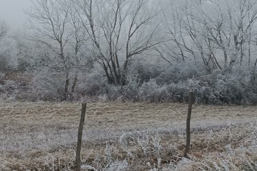 Eladásra kínálok 100000 m2-es MÁ-m jelű általános mezőgazdasági övezeti telket (rét, szántó) Őrbottyán Öregfalu határában a Rákóczi útról megközelíthetően.

Az Má-m jelű általános mezőgazdasági övezet övezeti paraméterei:

1/ a beépítési mód szabadon álló,
2/ a beépíthető telek legkisebb területe 30.000 m,
3/ a legnagyobb beépítettség terepszint felett 3%,
4/ a legnagyobb épületmagasság 7,5 m,
5/ az előkert legkisebb mérete 10 m,
6/ az oldalkert legkisebb mérete 10 m,
7/ a hátsókert legkisebb mérete 20 m.

Az Má-m övezetében a lovas turizmussal, a lósporttal összefüggő lótartás és az ismeretterjesztést szolgáló más, legfeljebb közepes testméretű állat tartása célját
szolgáló és az ahhoz tartozó kiszolgáló, kiegészítő, valamint szálláshely-
szolgáltató és vendéglátó építmények helyezhetők el.

A természet közelségét is biztosítja, így ideális helyszín lehet egy lakható, gazdasági épület kialakításához, állattartáshoz, növénytermesztéshez.

A közlekedési lehetőségek nagyon kedvezőek, a város jól megközelíthető autóval, és a közeli tömegközlekedési lehetőségeknek köszönhetően a főváros is könnyen elérhető. A környék infrastruktúrája folyamatosan fejlődik, így a jövőbeni beruházások és a település növekedése biztosítja, hogy a telek értéke csak növekedni fog az elkövetkező években.

Ajánlom Önnek ezt a rendkívüli lehetőséget, Őrbottyán infrastruktúrája állandóan fejlődik.
A település növekedése biztosítja, hogy a telek értéke növekedni fog az elkövetkezendő időben.

A mezőgazdasági telek tehermentes, a földtörvény hatálya alá esik, kifüggesztés köteles! .

Ár: 100. 000. 000.-Ft

További információért és a megtekintéssel kapcsolatban, várom megtisztelő hívását!
Amiben még segíteni tudok:
- ha a vásárláshoz még el kell adnia ingatlanát
- energetikai tanúsítvány készítése 72 órán belül
- ingyenes hitelügyintézés
- jogi háttér
- földhivatali ügyintézés
- értékbecslés, piaci ármeghatározás
- költöztetés, lomtalanítás
- ajánlatok küldése e-mailben országos adatbázisból.

Tel: +36705581160