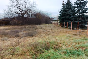 Befektetők, Építtetők figyelmébe ajánlom ezt a remek építési telket Őrbottyánban.

Eladásra kínálok 5505 m2-es, belterületi kivett beépítetlen építési telket, Őrbottyánban a

Szőlősor utcában.

A telek szélessége 27 méter, hossza 204 méter.

A telekre több ikerházat vagy sorházi lakást lehet építeni az Őrbottyáni Helyi Építési szabályzat szerint.

Az Lke-1 jelű lakóövezet (hagyományos kert városias lakóterület), ideális helyszíne lehet egy többlakásos ingatlan felépítésére.
Közművek a telek előtt megtalálhatók.
A közlekedési lehetőségek nagyon kedvezőek, a város jól megközelíthető autóval, és a közeli tömegközlekedési lehetőségeknek köszönhetően a főváros is könnyen elérhető. A környék infrastruktúrája folyamatosan fejlődik, így a jövőbeni beruházások és a település növekedése biztosítja, hogy a telek értéke csak növekedni fog az elkövetkező években.

Az Őrbottyán környéki közszolgáltatások, mint például boltok, iskolák és egészségügyi intézmények, mind könnyen elérhetők, így a mindennapi élet kényelmesen és zökkenőmentesen zajlik

Ajánlom Befektetőnek vagy építtetőnek ezt a rendkívüli beruházási lehetőséget.
Őrbottyán infrastruktúrája állandóan fejlődik. A település növekedése biztosítja, hogy a telek értéke növekedni fog az elkövetkezendő időben.

Ár: 120. 000. 000.- Ft

További információért és a megtekintéssel kapcsolatban, várom megtisztelő hívását!
Amiben még segíteni tudok:
- ha a vásárláshoz még el kell adnia ingatlanát
- energetikai tanúsítvány készítése 72 órán belül
- ingyenes hitelügyintézés
- jogi háttér
- földhivatali ügyintézés
- értékbecslés, piaci ármeghatározás
- költöztetés, lomtalanítás
- ajánlatok küldése e-mailben országos adatbázisból.

Tel: +36705581160