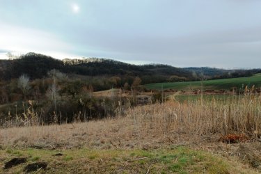 Eladásra kínálok 39390 m2-es MÁ jelű általános mezőgazdasági övezeti telket Őrbottyán határában Váckisújfalu felé.

A természet közelségét is biztosítja, így ideális helyszín lehet egy lakható, gazdasági épület kialakításához, állattartáshoz, növénytermesztéshez.

Az MÁ jelű mezőgazdasági övezet övezeti paraméterei:

1/ beépítési mód szabadon álló,
2/ a beépíthető telek legkisebb területe 10.000 méter
3/ a legnagyobb beépítettség terepszint felett 3%,
4/ a legnagyobb beépítettség terepszint alatt 3%,
5/ a legnagyobb épületmagasság 5,0 méter,
6/ az előkert legkisebb mérete 10 méter,
7/ az oldalkert legkisebb mérete 4 méter,
7/a hátsókert legkisebb mérete 10 méter

A közlekedési lehetőségek nagyon kedvezőek, a város jól megközelíthető autóval, és a közeli tömegközlekedési lehetőségeknek köszönhetően a főváros is könnyen elérhető. A környék infrastruktúrája folyamatosan fejlődik, így a jövőbeni beruházások és a település növekedése biztosítja, hogy a telek értéke csak növekedni fog az elkövetkező években.

Ajánlom Önnek ezt a rendkívüli lehetőséget, Őrbottyán infrastruktúrája állandóan fejlődik.
A település növekedése biztosítja, hogy a telek értéke növekedni fog az elkövetkezendő időben.

A mezőgazdasági telek tehermentes, a földtörvény hatálya alá esik, kifüggesztés köteles!

Ár: 58. 000. 000.-Ft

További információért és a megtekintéssel kapcsolatban, várom megtisztelő hívását!

Amiben még segíteni tudok:

- ha a vásárláshoz még el kell adnia ingatlanát
- energetikai tanúsítvány készítése 72 órán belül
- ingyenes hitelügyintézés
- jogi háttér
- földhivatali ügyintézés
- értékbecslés, piaci ármeghatározás
- költöztetés, lomtalanítás
- ajánlatok küldése e-mailben országos adatbázisból.

Tel: +36705581160 Gere Géza