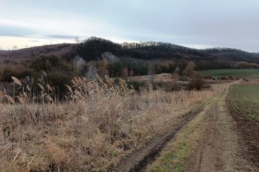 Eladásra kínálok 39390 m2-es MÁ jelű általános mezőgazdasági övezeti telket Őrbottyán határában Váckisújfalu felé.

A természet közelségét is biztosítja, így ideális helyszín lehet egy lakható, gazdasági épület kialakításához, állattartáshoz, növénytermesztéshez.

Az MÁ jelű mezőgazdasági övezet övezeti paraméterei:

1/ beépítési mód szabadon álló,
2/ a beépíthető telek legkisebb területe 10.000 méter
3/ a legnagyobb beépítettség terepszint felett 3%,
4/ a legnagyobb beépítettség terepszint alatt 3%,
5/ a legnagyobb épületmagasság 5,0 méter,
6/ az előkert legkisebb mérete 10 méter,
7/ az oldalkert legkisebb mérete 4 méter,
7/a hátsókert legkisebb mérete 10 méter

A közlekedési lehetőségek nagyon kedvezőek, a város jól megközelíthető autóval, és a közeli tömegközlekedési lehetőségeknek köszönhetően a főváros is könnyen elérhető. A környék infrastruktúrája folyamatosan fejlődik, így a jövőbeni beruházások és a település növekedése biztosítja, hogy a telek értéke csak növekedni fog az elkövetkező években.

Ajánlom Önnek ezt a rendkívüli lehetőséget, Őrbottyán infrastruktúrája állandóan fejlődik.
A település növekedése biztosítja, hogy a telek értéke növekedni fog az elkövetkezendő időben.

A mezőgazdasági telek tehermentes, a földtörvény hatálya alá esik, kifüggesztés köteles!

Ár: 58. 000. 000.-Ft

További információért és a megtekintéssel kapcsolatban, várom megtisztelő hívását!

Amiben még segíteni tudok:

- ha a vásárláshoz még el kell adnia ingatlanát
- energetikai tanúsítvány készítése 72 órán belül
- ingyenes hitelügyintézés
- jogi háttér
- földhivatali ügyintézés
- értékbecslés, piaci ármeghatározás
- költöztetés, lomtalanítás
- ajánlatok küldése e-mailben országos adatbázisból.

Tel: +36705581160 Gere Géza