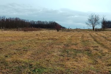 Eladásra kínálok 1313 m2-es és 1314 m2-es egymás mellett elhelyezkedő MK-1 besorolású mezőgazdasági telket, Őrbottyán határában Csomád felé az Öreg szőlőkben.

A két telek egyben is megvásárolható.
A telek szélessége 26. 5 méter, hossza 50 méter.

A természet közelségét is biztosítja, így ideális helyszín lehet egy lakható, gazdasági épület kialakításához, állattartáshoz, növénytermesztéshez.

Az Mk-1 jelű kertes mezőgazdasági övezet övezeti paraméterei:

1/ beépítési mód szabadon álló,
2/ beépíthető telek legkisebb területe 720 méter
3/ a legnagyobb beépítettség terepszint felett 3%,
4/ a legnagyobb beépítettség terepszint alatt 3%,
5/ a legnagyobb épületmagasság 5,0 méter,
6/ az előkert legkisebb mérete 5 méter,
7/ Az oldalkert legkisebb mérete 4 méter

A közlekedési lehetőségek nagyon kedvezőek, a város jól megközelíthető autóval, és a közeli tömegközlekedési lehetőségeknek köszönhetően a főváros is könnyen elérhető. A környék infrastruktúrája folyamatosan fejlődik, így a jövőbeni beruházások és a település növekedése biztosítja, hogy a telek értéke csak növekedni fog az elkövetkező években.
Ajánlom Önnek ezt a rendkívüli lehetőséget, Őrbottyán infrastruktúrája állandóan fejlődik.
A település növekedése biztosítja, hogy a telek értéke növekedni fog az elkövetkezendő időben.
A mezőgazdasági telek tehermentes, a földtörvény hatálya alá esik, kifüggesztés köteles!

Telek ár: 10. 000. 000.-Ft / darab

További információért és a megtekintéssel kapcsolatban, várom megtisztelő hívását!


Amiben még segíteni tudok:
- ha a vásárláshoz még el kell adnia ingatlanát
- energetikai tanúsítvány készítése 72 órán belül
- ingyenes hitelügyintézés
- jogi háttér
- földhivatali ügyintézés
- értékbecslés, piaci ármeghatározás
- költöztetés, lomtalanítás
- ajánlatok küldése e-mailben országos adatbázisból.

Tel: +36705581160
