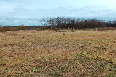 Eladásra kínálok 1313 m2-es és 1314 m2-es egymás mellett elhelyezkedő MK-1 besorolású mezőgazdasági telket, Őrbottyán határában Csomád felé az Öreg szőlőkben.

A két telek egyben is megvásárolható.
A telek szélessége 26. 5 méter, hossza 50 méter.

A természet közelségét is biztosítja, így ideális helyszín lehet egy lakható, gazdasági épület kialakításához, állattartáshoz, növénytermesztéshez.

Az Mk-1 jelű kertes mezőgazdasági övezet övezeti paraméterei:

1/ beépítési mód szabadon álló,
2/ beépíthető telek legkisebb területe 720 méter
3/ a legnagyobb beépítettség terepszint felett 3%,
4/ a legnagyobb beépítettség terepszint alatt 3%,
5/ a legnagyobb épületmagasság 5,0 méter,
6/ az előkert legkisebb mérete 5 méter,
7/ Az oldalkert legkisebb mérete 4 méter

A közlekedési lehetőségek nagyon kedvezőek, a város jól megközelíthető autóval, és a közeli tömegközlekedési lehetőségeknek köszönhetően a főváros is könnyen elérhető. A környék infrastruktúrája folyamatosan fejlődik, így a jövőbeni beruházások és a település növekedése biztosítja, hogy a telek értéke csak növekedni fog az elkövetkező években.
Ajánlom Önnek ezt a rendkívüli lehetőséget, Őrbottyán infrastruktúrája állandóan fejlődik.
A település növekedése biztosítja, hogy a telek értéke növekedni fog az elkövetkezendő időben.
A mezőgazdasági telek tehermentes, a földtörvény hatálya alá esik, kifüggesztés köteles!

Telek ár: 10. 000. 000.-Ft / darab

További információért és a megtekintéssel kapcsolatban, várom megtisztelő hívását!


Amiben még segíteni tudok:
- ha a vásárláshoz még el kell adnia ingatlanát
- energetikai tanúsítvány készítése 72 órán belül
- ingyenes hitelügyintézés
- jogi háttér
- földhivatali ügyintézés
- értékbecslés, piaci ármeghatározás
- költöztetés, lomtalanítás
- ajánlatok küldése e-mailben országos adatbázisból.

Tel: +36705581160