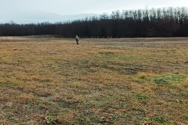 Eladásra kínálok 1313 m2-es és 1314 m2-es egymás mellett elhelyezkedő MK-1 besorolású mezőgazdasági telket, Őrbottyán határában Csomád felé az Öreg szőlőkben.

A két telek egyben is megvásárolható.
A telek szélessége 26. 5 méter, hossza 50 méter.

A természet közelségét is biztosítja, így ideális helyszín lehet egy lakható, gazdasági épület kialakításához, állattartáshoz, növénytermesztéshez.

Az Mk-1 jelű kertes mezőgazdasági övezet övezeti paraméterei:

1/ beépítési mód szabadon álló,
2/ beépíthető telek legkisebb területe 720 méter
3/ a legnagyobb beépítettség terepszint felett 3%,
4/ a legnagyobb beépítettség terepszint alatt 3%,
5/ a legnagyobb épületmagasság 5,0 méter,
6/ az előkert legkisebb mérete 5 méter,
7/ Az oldalkert legkisebb mérete 4 méter

A közlekedési lehetőségek nagyon kedvezőek, a város jól megközelíthető autóval, és a közeli tömegközlekedési lehetőségeknek köszönhetően a főváros is könnyen elérhető. A környék infrastruktúrája folyamatosan fejlődik, így a jövőbeni beruházások és a település növekedése biztosítja, hogy a telek értéke csak növekedni fog az elkövetkező években.
Ajánlom Önnek ezt a rendkívüli lehetőséget, Őrbottyán infrastruktúrája állandóan fejlődik.
A település növekedése biztosítja, hogy a telek értéke növekedni fog az elkövetkezendő időben.
A mezőgazdasági telek tehermentes, a földtörvény hatálya alá esik, kifüggesztés köteles!

Telek ár: 10. 000. 000.-Ft / darab

További információért és a megtekintéssel kapcsolatban, várom megtisztelő hívását!


Amiben még segíteni tudok:
- ha a vásárláshoz még el kell adnia ingatlanát
- energetikai tanúsítvány készítése 72 órán belül
- ingyenes hitelügyintézés
- jogi háttér
- földhivatali ügyintézés
- értékbecslés, piaci ármeghatározás
- költöztetés, lomtalanítás
- ajánlatok küldése e-mailben országos adatbázisból.

Tel: +36705581160