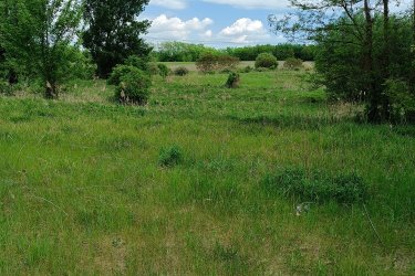 Eladó 15000 m2-es MÁ jelű általános mezőgazdasági telek Őrbottyánban. 