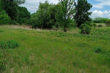 Eladásra kínálok 15000 m2-es MÁ jelű általános mezőgazdasági övezeti telket, Őrbottyán határában Vácrátót felé a Bottyáni szőlőkben, közvetlen az autóbontó mellett a Fő útról van bejárata.

A telek szélessége 30 méter, hossza 500 méter.

A villany kiépítésének befizetése megtörtént .

A természet közelségét is biztosítja, így ideális helyszín lehet egy lakható, gazdasági épület kialakításához, állattartáshoz, növénytermesztéshez.

Az MÁ jelű mezőgazdasági övezet övezeti paraméterei:

1/ beépítési mód szabadon álló,
2/ a beépíthető telek legkisebb területe 10.000 méter
3/ a legnagyobb beépítettség terepszint felett 3%,
4/ a legnagyobb beépítettség terepszint alatt 3%,
5/ a legnagyobb épületmagasság 5,0 méter,
6/ az előkert legkisebb mérete 10 méter,
7/ az oldalkert legkisebb mérete 4 méter,
7/a hátsókert legkisebb mérete 10 méter

A közlekedési lehetőségek nagyon kedvezőek, a város jól megközelíthető autóval, és a közeli tömegközlekedési lehetőségeknek köszönhetően a főváros is könnyen elérhető. A környék infrastruktúrája folyamatosan fejlődik, így a jövőbeni beruházások és a település növekedése biztosítja, hogy a telek értéke csak növekedni fog az elkövetkező években.

Ajánlom Önnek ezt a rendkívüli lehetőséget, Őrbottyán infrastruktúrája állandóan fejlődik.
A település növekedése biztosítja, hogy a telek értéke növekedni fog az elkövetkezendő időben.

A mezőgazdasági telek tehermentes, a földtörvény hatálya alá esik, kifüggesztés köteles! .

Ár: 30. 000. 000.-Ft

További információért és a megtekintéssel kapcsolatban, várom megtisztelő hívását!
Amiben még segíteni tudok:
- ha a vásárláshoz még el kell adnia ingatlanát
- energetikai tanúsítvány készítése 72 órán belül
- ingyenes hitelügyintézés
- jogi háttér
- földhivatali ügyintézés
- értékbecslés, piaci ármeghatározás
- költöztetés, lomtalanítás
- ajánlatok küldése e-mailben országos adatbázisból.

Tel: +36705581160 Gere Géza