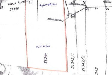 Eladó 10.403 m2-es zártkerti gyümölcsös és szántó Vác Gombás dűlőben.

Vác - Gombás dűlő részén a Szarvasbogár utcában, eladásra kínálok 10. 403 m2-es zártkerti telket, tulajdoni lap szerint Zártkert, gyümölcsös rendezetlen funkciójú épület és szántó megnevezésű ingatlan. 
A terület a város felől a Gombási útról közelíthető meg, Gombásnál lekanyarodva murvás úton autóval megközelíthető. (még esős időben is).
Az egy helyrajzi számú telken 5676 m2-es gyümölcsös és 4727 m2-es szántó található.

A telek alsó része kb. 50 méter hosszúságban lapos terület, majd onnan fokozatosan emelkedik és a felső részen szintén lapos (ahonnan csodálatos panorámás kilátás nyílik a Dunakanyarra és Vác városára. 
A telek beépíthetősége 3 %, a telken gyűrűs kút van és a szélén található villanyoszlopról az áram bevezethető.
A telek szélessége 50 méter és a hosszúsága 208 méter.

A földúton megközelíthető telket az elmúlt években nem kezelték, így a terület megritkítása a leendő tulajdonosra vár.

A Szarvasbogár utcában állandó családok is laknak, nagyon jó összetartó közösséggel.
5 perc gyalogos távolságra a buszmegállótól, autóval közlekedve pedig szintén 5 perc alatt megközelíthető Vác központja. 

A telek méretéből adódóan kiváló lehetőség rejlik, akár bio gazdaság, mezőgazdasági vállalkozás, nyaraló vagy tanya kialakításra.

Irányár: 18. 500. 000.-Ft

további információért és a megtekintéssel kapcsolatban, várom megtisztelő hívását!

Amiben még segíteni tudok:

  ha a vásárláshoz még el kell adnia ingatlanát
  energetikai tanúsítvány készítése 72 órán belül
  ingyenes hitelügyintézés
  jogi háttér
  földhivatali ügyintézés
  értékbecslés, piaci ármeghatározás
  költöztetés, lomtalanítás
  ajánlatok küldése e-mailben országos adatbázisból.

Tel:  +36705581160
 