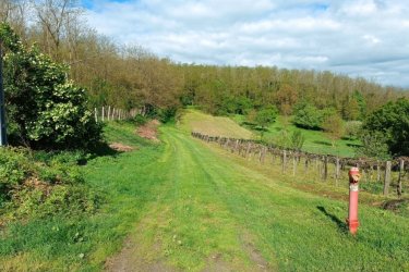 Eladó családi ház Tolmács természet közeli részén.&#13;&#10;&#13;&#10;Eladásra kínálok Nógrád Vármegye Tolmács község közkedvelt csendes utcájában, átmenő forgalommentes, természet közeli környezetben, 1040 m2-es körbekerített telken épített 85 m2-es, folyamatos felújítás alatt lévő családi házat, 10 m2-es fedett verandával együtt.&#13;&#10;A lakóingatlan 1960-as években épült téglából, fa födémmel és cserépborítással.&#13;&#10;&#13;&#10;Az elmúlt időszakban teljes átalakításon ment keresztül az épület, új tetőzet (szalag cserép) lett építve, kicserélve a villany és vízvezetékek valamint új 9 m2-es emésztő lett kialakítva.&#13;&#10;A községben a csatornarendszer folyamatosan épül, a házba már bevezették a csatornát, de a rákötés 1-2 hónapon belül megtörténik. Addig az emésztő biztosítja a szennyvíz elvezetését.&#13;&#10;&#13;&#10;A lakóingatlanba fedett verandán keresztül jutunk be, ahol tágas előszoba, kádas fürdőszoba, utcafronton két külön nyíló szoba valamint 19 m2-es bútorozott és gépesített étkezős konyha található. Az étkezős konyhából az elképzelés alapján kialakított teraszra jutunk. A két szoba között épített cserépkályha biztosítja a meleget. Az ingatlan melegvizét villanybojler biztosítja.&#13;&#10;Az előszobában fatüzeléses kályha adja a meleget. A nyílászárók új műanyag hőszigetelt üvegezésűek.&#13;&#10;A telken melléképület, pince és ásott kút található. Telekre személygépjármű beállási lehetőség van.&#13;&#10;A családi ház külső felülete 8 cm-es Dryvit szigetelést kapott, melynek festése a leendő tulajdonos elképzelése alapján történhet.&#13;&#10;&#13;&#10;A községben óvoda, általános iskola üzlet, posta pár percen belül elérhető.&#13;&#10;&#13;&#10;Ajánlom azoknak, akik kedvelik a természet közelségét, nyugodt, kiegyensúlyozott életet, itt biztosan megtalálja számítását. A terület közbiztonsága jó, a lakosság összefogásának, egymásra figyelésének köszönhetően, néhány kilométerre elérhető Rétság, Balassagyarmat, ahol bevásárlásra és szórakozásra is lehetőség van.&#13;&#10;Tolmács Budapesttől 54 km-re, Balassagyarmattól 28 km-re található.&#13;&#10;A közlekedés remek, közvetlen buszjárat Budapest, Vác, Rétság és Balassagyarmat irányába.&#13;&#10;&#13;&#10;Az ingatlan per, igény, és tehermentes, mely a vételár megfizetését követően azonnal birtokba vehető.&#13;&#10;&#13;&#10;Ár: 39. 900. 000.- Ft&#13;&#10;&#13;&#10;Irodánk az alábbi szolgáltatásokkal segíti önt az ingatlanvásárlásban:&#13;&#10;-Ingyenes hitelügyintézés&#13;&#10;-Földhivatali ügyintézés&#13;&#10;-Jogi háttér biztosítása&#13;&#10;-Energetikai tanúsítvány elkészítése&#13;&#10;-Értékbecslés&#13;&#10;-Ingyenes tanácsadás&#13;&#10;&#13;&#10;Köszönöm, hogy minket választott!&#13;&#10;&#13;&#10;Tel: +36705581160