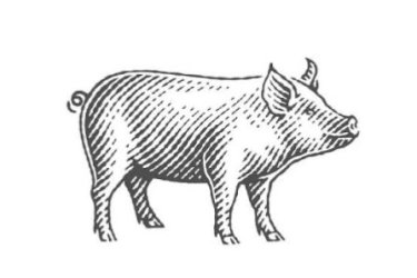 Anyakoca és herélt kan