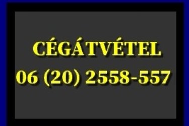 Üzletrész átvétel? Üzletrész átruházás? Eladósodott cég átvétel?