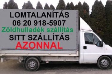 LOMTALANÍTÁS POMÁZ 06-20-9185-907 BUDAKALÁSZ CSOBÁNKA PILISSZENTLÁSZLÓ TAHITÓTFALU DUNABOGDÁNY KISOROSZI VISEGRÁD