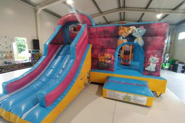 Eladó Cicás Csúszdás Ugráló&#13;&#10;Gyártási év: 2025&#13;&#10;&#13;&#10;Mérete: 5m x 7m x 3,5m&#13;&#10;&#13;&#10;Állapota: új&#13;&#10;&#13;&#10;Ára: 1.450.000 Ft+ÁFA&#13;&#10;&#13;&#10;Tartozékok: befúvó motor, rögzítő vascövekek, műszaki vizsga, javító készlet, tároló zsák&#13;&#10;&#13;&#10;Átvételi időpont: Azonnal vihető