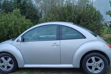 New Beetle