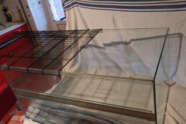 
Terrárium Hüllőtároló.
Üvegből készült, oldalán szellőzőrácsos (akvárium). Teteje fémrács, felnyitható ajtóval. A rács oldalra eltolva levehető.  Rágcsálóknak, teknősnek, kígyónak, gyíknak, Póknak vagy bármilyen házi kedvencnek. Méretei.  Hossza 75 cm, szélessége 47 cm, mélysége 38 cm. Hiba. Egyik sarok megütődött ,kis repedés, 
zúzódás, de anyaghiány nincs. Ár. 4E.Ft.+szállítás. Fontos információ! (Tel. húsz 9758 százhetvenhárom), akinek nincs 30 Ft-ja egy telefonhívásra az ne írjon, nem 
válaszolok!