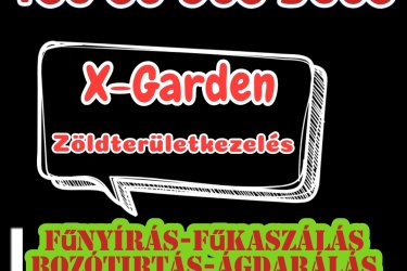 Fűkaszálás - Bozótirtás - Telektisztítás