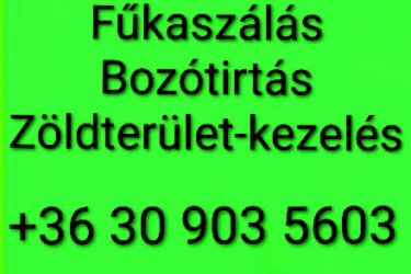 Fűkaszálás - Bozótirtás - Telektisztítás
