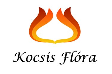 Sofőr állás - D kategóriás jogosítvánnyal