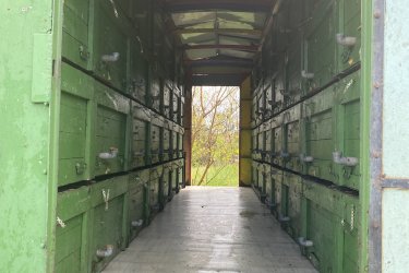 ELADÓ méh konténer 56 családos
NB 20 kaptárokkal