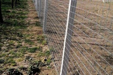 Biztonságos és tartós kerítést keres? Akkor megtalálta!
Vállalunk az ország egész területén vadhálóval, vagy dróthálóval komplett kerítésépítést 2399 Ft/m áron.
Ez az ár tartalmazza az összes anyagot és a munkadíjat is!

Kérjen ajánlatot most:
+36--30 354 17 07
+36--30 710 08 30
+36--30 325 82 00
Ajánlatkérés e-mailben: keritesnagyker@gmail.com

Nálunk mindent megtalál, ami a kerítés építéshez szükséges! Látogasson el honlapunkra a www.kotaji-kerites.hu oldalra vagy telephelyeinkre.