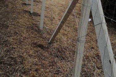 Biztonságos és tartós kerítést keres? Akkor megtalálta!
Vállalunk az ország egész területén vadhálóval, vagy dróthálóval komplett kerítésépítést 2399 Ft/m áron.
Ez az ár tartalmazza az összes anyagot és a munkadíjat is!

Kérjen ajánlatot most:
+36--30 354 17 07
+36--30 710 08 30
+36--30 325 82 00
Ajánlatkérés e-mailben: keritesnagyker@gmail.com

Nálunk mindent megtalál, ami a kerítés építéshez szükséges! Látogasson el honlapunkra a www.kotaji-kerites.hu oldalra vagy telephelyeinkre.