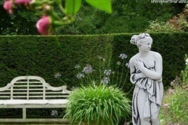 Ha van lehetősége, akkor használja ki és tegyen kertjébe egy ilyen kerti vénusz szobrot. A szobor látványát kiemelhetjük megvilágítással és talapzatra helyezéssel. Egy kerti szobor gyakran művészi alkotás is egyben, vizuális és esztétikai élményt nyújt gazdájának és vendégeinknek egyaránt.

Mivel a kő természetes anyag, jól illeszkedik a zöld környezetbe és szinte minden növény mellet tetszetősen mutat. Kültéri termékeink minőségi kő zúzalékból készülnek, az időjárás viszontagságainak teljes mértékben ellenállnak. Fagyállók, így télen-nyáron díszei lesznek a kertnek. A kültérben és beltérben egyaránt használható szobrok, vázák és kaspók megrendelhetőek a webáruházunkból‎, vagy látogasson el személyesen dunavarsányi kőkereskedésünkbe, ahol több ezer kerti dísszel várjuk Önt és kedves családját.

Méretek:
Magasság: 81cm
Tömeg:   24kg

Fedezze fel a Kerti Díszek csodálatos világát!
Telephely: Dunavarsány, Barátság u. 1. (51-es főút)
Telefon: 06 70 / 299 2066 – Érdeklődni kizárólag telefonon!
Weboldal: https://kertidiszek.hu

Kínálatunkban megtalálható többek között:
– Kerti szobrok – Varázsolja el kertjét egyedi és stílusos díszekkel!
– Szökőkutak – Frissítse fel kültéri terét egy gyönyörű vízi elemmel!
– Figurák – Tökéletes kiegészítők, amelyek személyiséget adnak a kertjének!
– Kerti lámpások – Teremtsen hangulatos fényt az esti órákra!
– Kerti grillek – Élvezze a szabadtéri sütögetést barátokkal, családdal!

Látogasson el weboldalunkra, és válassza ki a kertjéhez legjobban illő díszeket!

ℹ️ A hirdetésben szereplő képek és adatok tájékoztató jellegűek, kisebb eltérések előfordulhatnak.
A készlettel és házhoz szállítással kapcsolatban kérjük, telefonon érdeklődjön!