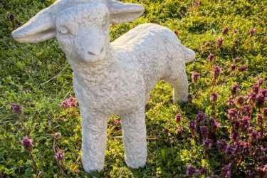 A vidék a természetesség és a nyugalom jelképe. Ha ezeket szeretnéd biztosítani otthonodban, kertedben is, akkor csempészd bele egy-egy apró kiegészítő dekorációt. Az új kerti birka szobrot kerti díszként használhatod, a bárány figura elhozza a kertedbe, teraszodra, a vidéki hangulatot. 

Dekorációs termékeink minőségi kőzúzalékból készülnek, az időjárás viszontagságainak teljes mértékben ellenállnak és fagyállók. Bárány, birka kedves alakja hangulatot visz a kertedbe, otthonodba. Gyerekek is nagyon kedvelik a mesebeli bárány figurát. Szép kidolgozású szobor.

Méretek
Magasság:   48 cm
Hosszúság:  48 cm
Tömeg:       19 kg

Fedezze fel a Kerti Díszek csodálatos világát!
Telephely: Dunavarsány, Barátság u. 1. (51-es főút)
Telefon: 06 70 / 299 2066 – Érdeklődni kizárólag telefonon!
Weboldal: https://kertidiszek.hu

Kínálatunkban megtalálható többek között:
– Kerti szobrok – Varázsolja el kertjét egyedi és stílusos díszekkel!
– Szökőkutak – Frissítse fel kültéri terét egy gyönyörű vízi elemmel!
– Figurák – Tökéletes kiegészítők, amelyek személyiséget adnak a kertjének!
– Kerti lámpások – Teremtsen hangulatos fényt az esti órákra!
– Kerti grillek – Élvezze a szabadtéri sütögetést barátokkal, családdal!

Látogasson el weboldalunkra, és válassza ki a kertjéhez legjobban illő díszeket!

ℹ️ A hirdetésben szereplő képek és adatok tájékoztató jellegűek, kisebb eltérések előfordulhatnak.
A készlettel és házhoz szállítással kapcsolatban kérjük, telefonon érdeklődjön!