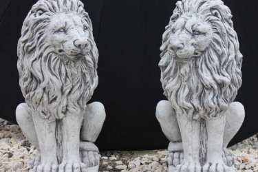 Hazánkban nincs ilyen nagyon szép kidolgozású oroszlán szobor ezt biztosan állíthatom. Termékeink minőségi kő zúzalékból készülnek, az időjárás viszontagságainak teljes mértékben ellenállnak. Fagyállók, ezért a növényekkel szemben ezek a termékek nem csak időszakos díszei lesznek a kertjének.

Kertünket egy kis ötletes dekorációval, némi ügyességgel még színesebbé és szebbé varázsolhatjuk. A kő, mint természetes anyag, jól illeszkedik a növényekhez és a zöld környezetbe. 

A Feng Shui szerint az oroszlán szimbólum, a Ming kortól használják kapuőröknek Kínában, mint a rendíthetetlen hatalom jelképét, a gonosz ellenségét. Általában a bejárati ajtó, vagy főbejárat mellé helyezik őket párban, mert úgy tartják, hogy nem hoz szerencsét, ha szétválasztják őket. Az oroszlánok közül az egyik oroszlán hím, a másik nőstény.

Méretek:
Magasság: 55cm
Tömeg: 40kg

Fedezze fel a Kerti Díszek csodálatos világát!
Telephely: Dunavarsány, Barátság u. 1. (51-es főút)
Telefon: 06 70 / 299 2066 – Érdeklődni kizárólag telefonon!
Weboldal: https://kertidiszek.hu

Kínálatunkban megtalálható többek között:
– Kerti szobrok – Varázsolja el kertjét egyedi és stílusos díszekkel!
– Szökőkutak – Frissítse fel kültéri terét egy gyönyörű vízi elemmel!
– Figurák – Tökéletes kiegészítők, amelyek személyiséget adnak a kertjének!
– Kerti lámpások – Teremtsen hangulatos fényt az esti órákra!
– Kerti grillek – Élvezze a szabadtéri sütögetést barátokkal, családdal!

Látogasson el weboldalunkra, és válassza ki a kertjéhez legjobban illő díszeket!

ℹ️ A hirdetésben szereplő képek és adatok tájékoztató jellegűek, kisebb eltérések előfordulhatnak.
A készlettel és házhoz szállítással kapcsolatban kérjük, telefonon érdeklődjön!