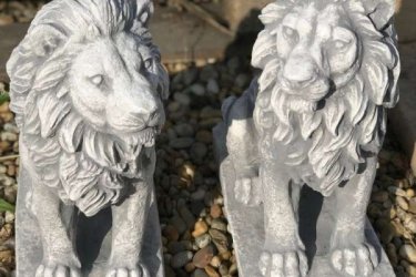 Termékeink kőből készülnek, ezért az időjárást jól tűrik. Télen, nyáron díszíthetik a kertjüket. Vásárolj a legjobb minőségű kőből készült kültéri szobrainkból garanciát vállaluk termékünkre. A kő, mint természetes anyag nagyon tartós és jól illeszkedik a környezetbe. 

A művészeti kertek alapjai a szobrok legyen az sas szobor vagy egy kellemes női szobor a kert színvonalát, látványát, hangulatát növelhetjük a szobrokkal. Rendelésnél kérem jelezze hogy jobbos vagy balost szeretne.

Méretek:
Magasság: 36 cm
Talp     14x25 cm
Tömeg:     11 kg

Fedezze fel a Kerti Díszek csodálatos világát!
Telephely: Dunavarsány, Barátság u. 1. (51-es főút)
Telefon: 06 70 / 299 2066 – Érdeklődni kizárólag telefonon!
Weboldal: https://kertidiszek.hu

Kínálatunkban megtalálható többek között:
– Kerti szobrok – Varázsolja el kertjét egyedi és stílusos díszekkel!
– Szökőkutak – Frissítse fel kültéri terét egy gyönyörű vízi elemmel!
– Figurák – Tökéletes kiegészítők, amelyek személyiséget adnak a kertjének!
– Kerti lámpások – Teremtsen hangulatos fényt az esti órákra!
– Kerti grillek – Élvezze a szabadtéri sütögetést barátokkal, családdal!

Látogasson el weboldalunkra, és válassza ki a kertjéhez legjobban illő díszeket!

ℹ️ A hirdetésben szereplő képek és adatok tájékoztató jellegűek, kisebb eltérések előfordulhatnak.
A készlettel és házhoz szállítással kapcsolatban kérjük, telefonon érdeklődjön!