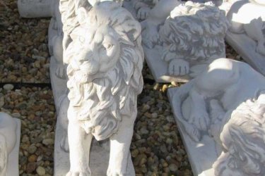 Termékeink kőből készülnek, ezért az időjárást jól tűrik. Télen, nyáron díszíthetik a kertjüket. Vásárolj a legjobb minőségű kőből készült kültéri szobrainkból garanciát vállaluk termékünkre. A kő, mint természetes anyag nagyon tartós és jól illeszkedik a környezetbe. 

A művészeti kertek alapjai a szobrok legyen az sas szobor vagy egy kellemes női szobor a kert színvonalát, látványát, hangulatát növelhetjük a szobrokkal. Rendelésnél kérem jelezze hogy jobbos vagy balost szeretne.

Méretek:
Magasság: 36 cm
Talp     14x25 cm
Tömeg:     11 kg

Fedezze fel a Kerti Díszek csodálatos világát!
Telephely: Dunavarsány, Barátság u. 1. (51-es főút)
Telefon: 06 70 / 299 2066 – Érdeklődni kizárólag telefonon!
Weboldal: https://kertidiszek.hu

Kínálatunkban megtalálható többek között:
– Kerti szobrok – Varázsolja el kertjét egyedi és stílusos díszekkel!
– Szökőkutak – Frissítse fel kültéri terét egy gyönyörű vízi elemmel!
– Figurák – Tökéletes kiegészítők, amelyek személyiséget adnak a kertjének!
– Kerti lámpások – Teremtsen hangulatos fényt az esti órákra!
– Kerti grillek – Élvezze a szabadtéri sütögetést barátokkal, családdal!

Látogasson el weboldalunkra, és válassza ki a kertjéhez legjobban illő díszeket!

ℹ️ A hirdetésben szereplő képek és adatok tájékoztató jellegűek, kisebb eltérések előfordulhatnak.
A készlettel és házhoz szállítással kapcsolatban kérjük, telefonon érdeklődjön!