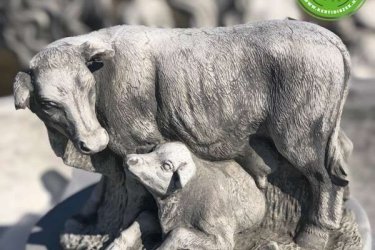 A szarvasmarha sokrétű előnyei miatt a társadalmakban és a vallásokban különböző hiedelmek élnek a szarvasmarhával kapcsolatban. Egyes régiókban, különösen India legtöbb államában, a szarvasmarhák levágása tilos, húsuk tabu lehet.

A szarvasmarhát szentnek tekintik az olyan világvallásokban, mint a hinduizmus , a dzsainizmus , a buddhizmus és mások, például az afrikai pogányság . A szarvasmarha számos más vallásban is fontos szerepet játszott, beleértve az ókori Egyiptomot , az ókori Görögországot , az ókori Izraelt és az ókori Rómát.

Méretek
Magasság:   22 cm
Tömeg:          7 kg

Fedezze fel a Kerti Díszek csodálatos világát!
Telephely: Dunavarsány, Barátság u. 1. (51-es főút)
Telefon: 06 70 / 299 2066 – Érdeklődni kizárólag telefonon!
Weboldal: https://kertidiszek.hu

Kínálatunkban megtalálható többek között:
– Kerti szobrok – Varázsolja el kertjét egyedi és stílusos díszekkel!
– Szökőkutak – Frissítse fel kültéri terét egy gyönyörű vízi elemmel!
– Figurák – Tökéletes kiegészítők, amelyek személyiséget adnak a kertjének!
– Kerti lámpások – Teremtsen hangulatos fényt az esti órákra!
– Kerti grillek – Élvezze a szabadtéri sütögetést barátokkal, családdal!

Látogasson el weboldalunkra, és válassza ki a kertjéhez legjobban illő díszeket!

ℹ️ A hirdetésben szereplő képek és adatok tájékoztató jellegűek, kisebb eltérések előfordulhatnak.
A készlettel és házhoz szállítással kapcsolatban kérjük, telefonon érdeklődjön!